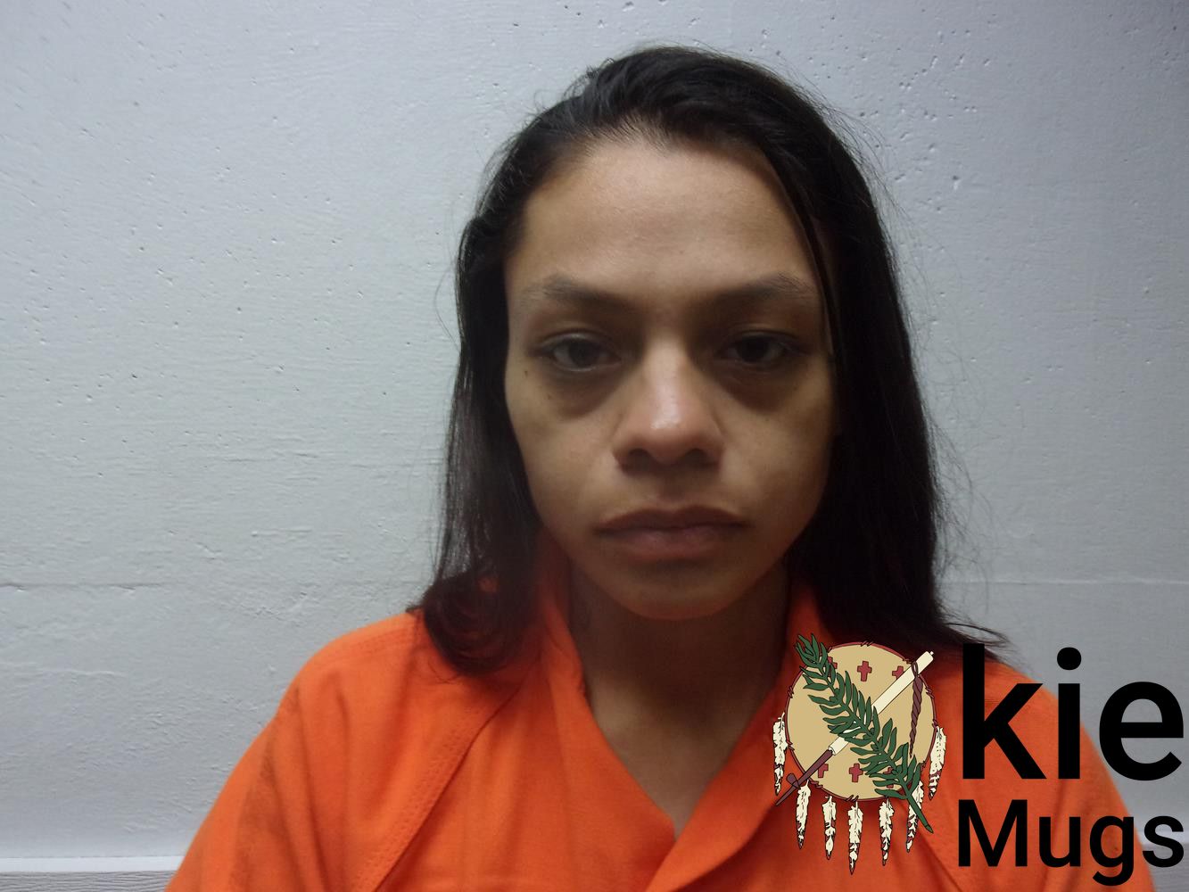 Booking photo of VANESSA L MENDOZA-HULSEY