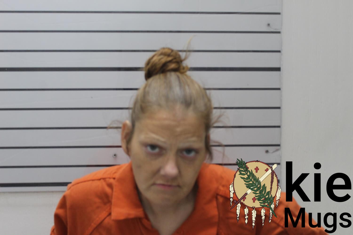 Booking photo of VANESSA MARIE PEARSON