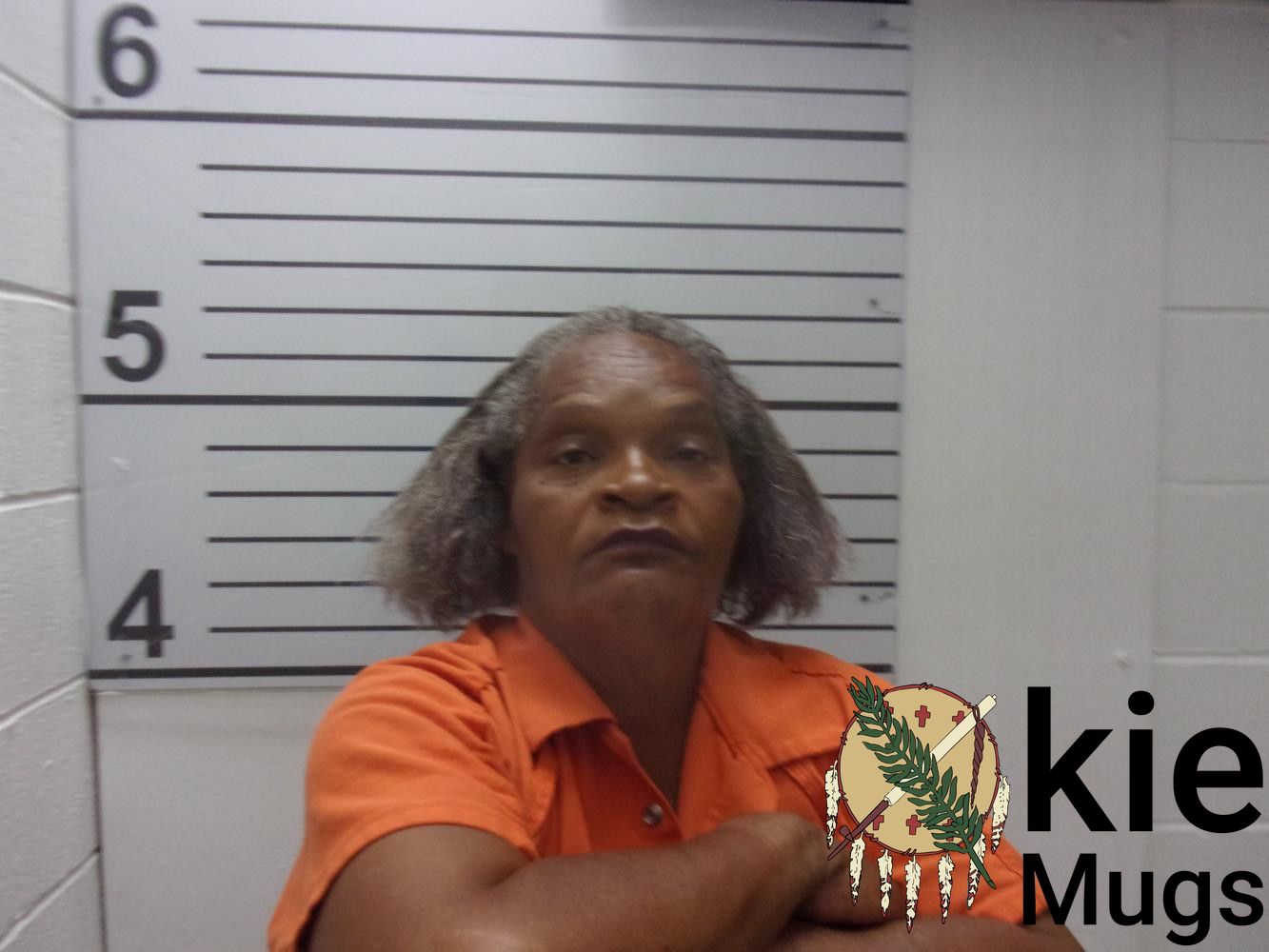 Booking photo of VELITA M REED