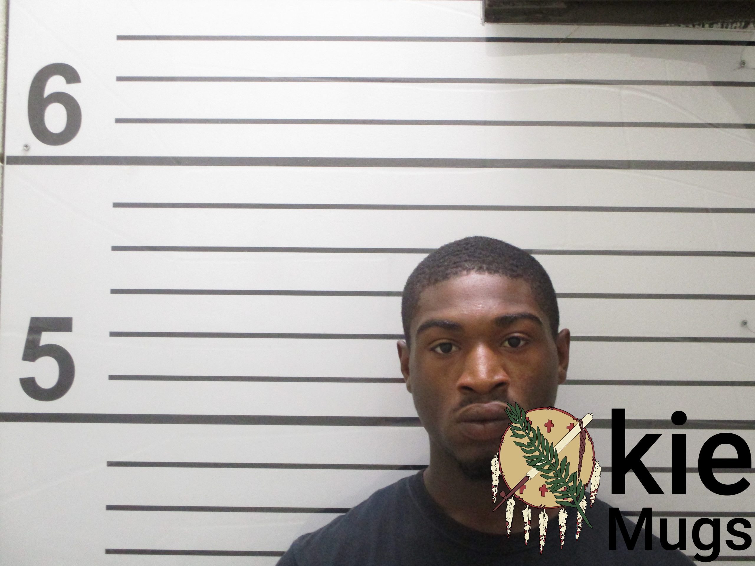 Booking photo of VINARD LEE MITCHELL
