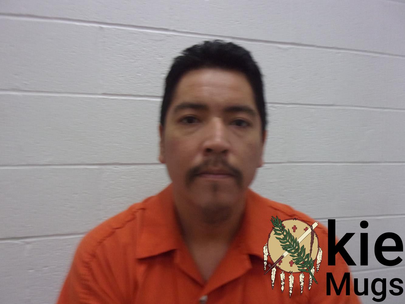 Booking photo of VINCE HARJO