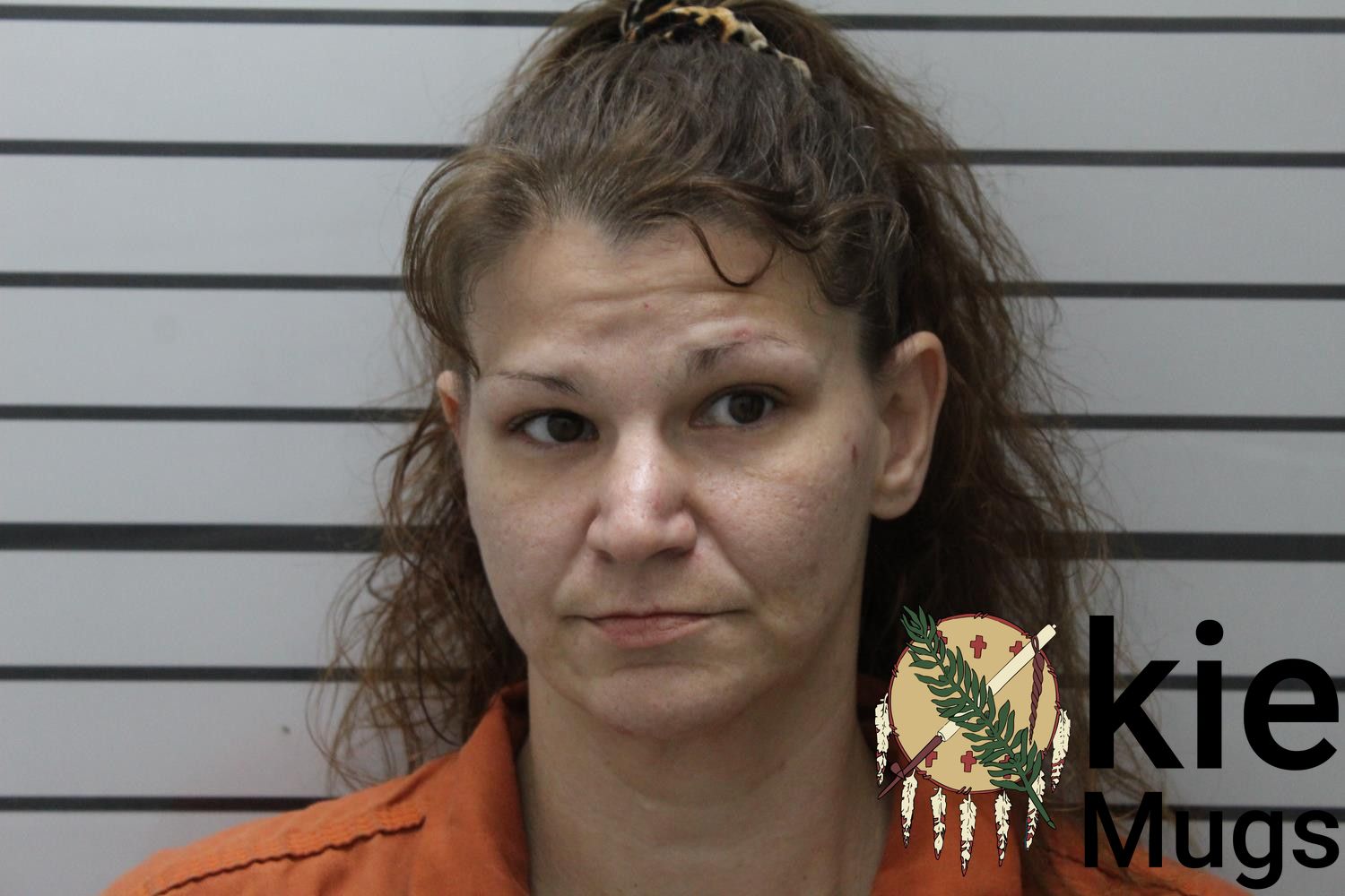 Booking photo of VIRGINA MITCHELL