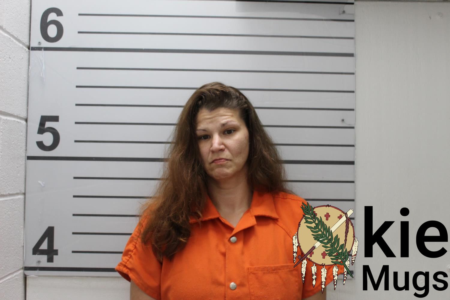 Booking photo of VIRGINIA J MITCHELL