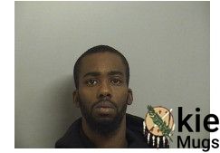 Booking photo of WILSON, DAVID LEE