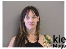 Booking photo of DAVISSON, BRANDI BERNESE