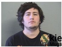 Booking photo of RAMOS, MICHAEL DILLON