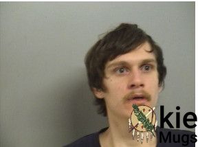Booking photo of SCHLEGEL, DAVID LYNDEN