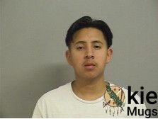Booking photo of VASQUEZ-VASQUEZ, ALEXANDER LEO