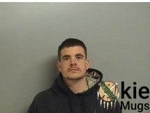 Booking photo of HOLLANDER, BRICETON TRACE