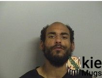 Booking photo of GALLARDO, CASIE JAMES