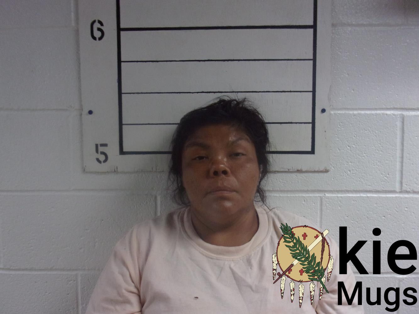 Booking photo of WHITNEY L HARJO