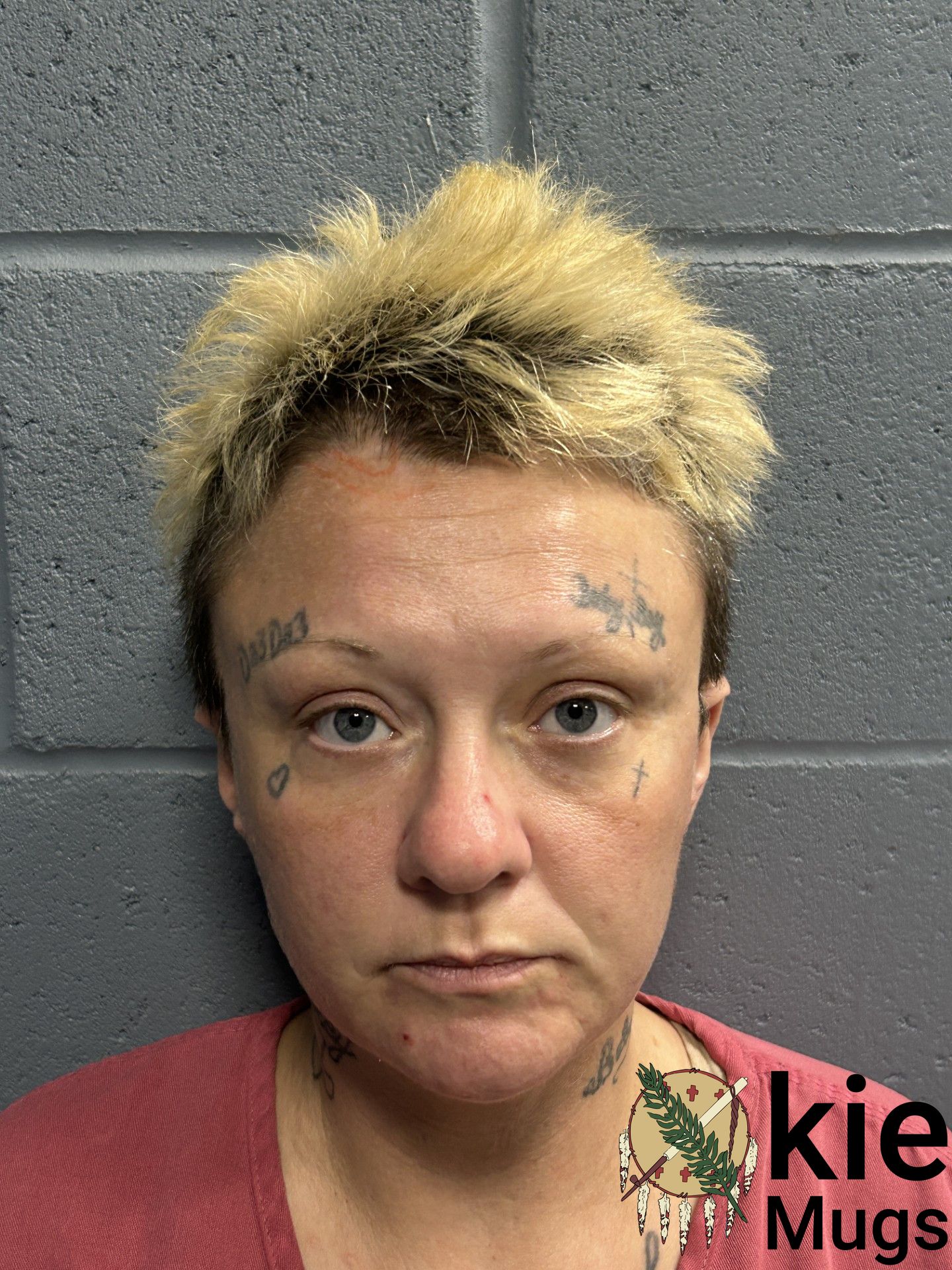 Booking photo of WHITNEY ROBERTS