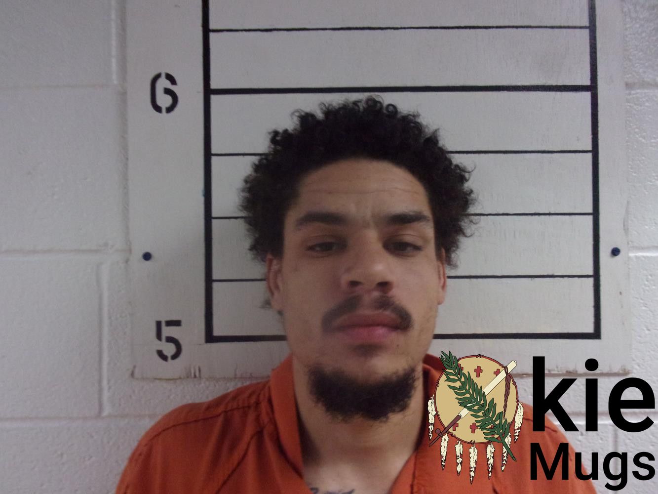 Booking photo of WILLIAM HENRY WILSON