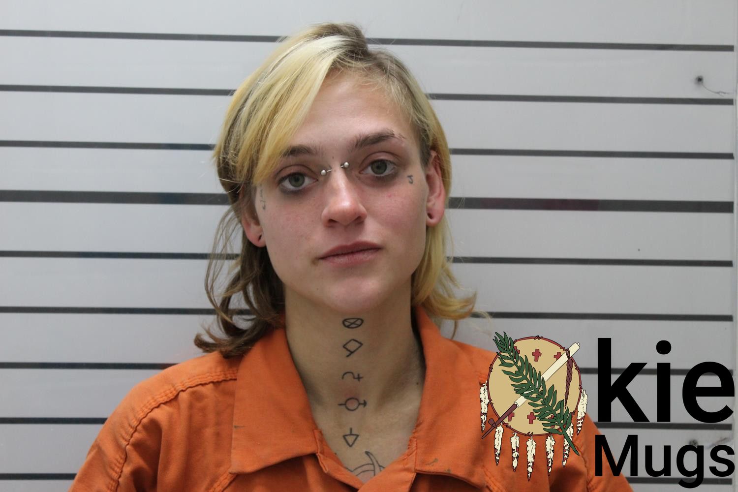 Booking photo of WILLOW COLLINS