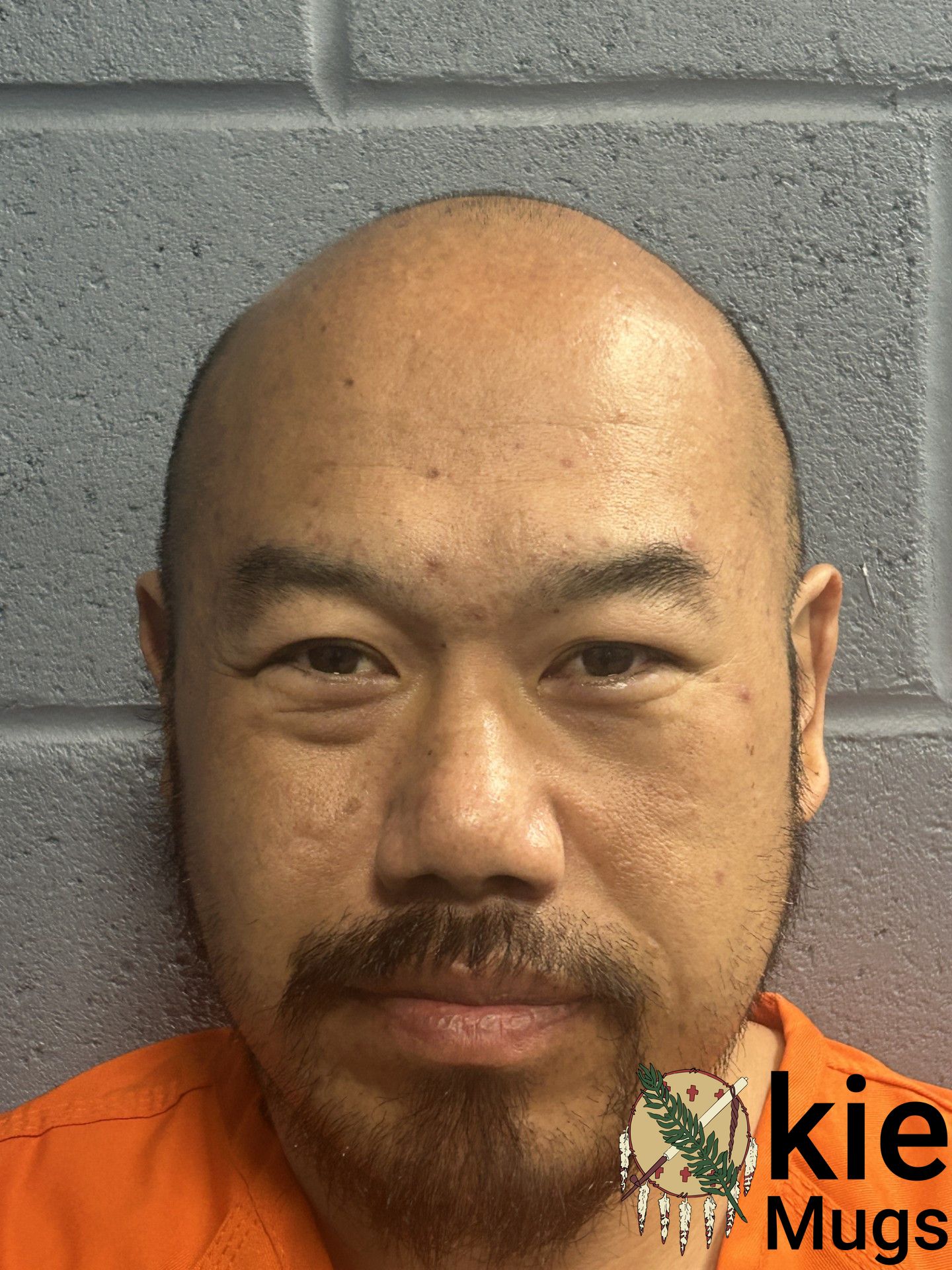 Booking photo of MENG XIONG