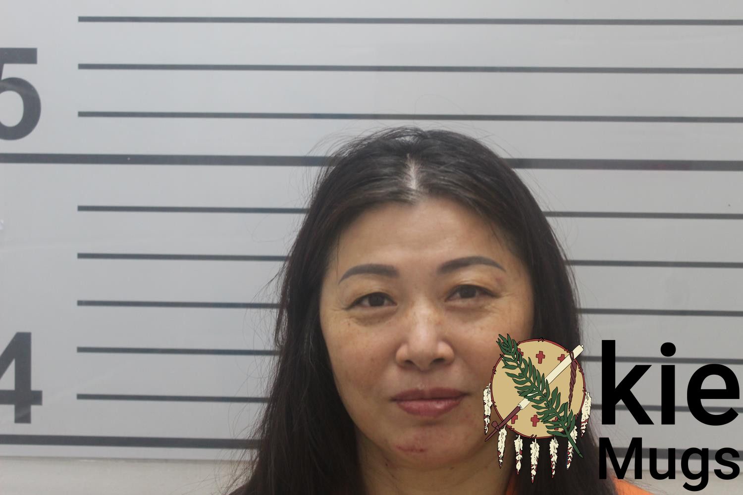 Booking photo of YUN PING LIN