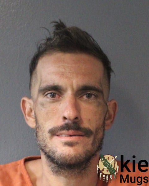 Booking photo of Ryan Michael Williams