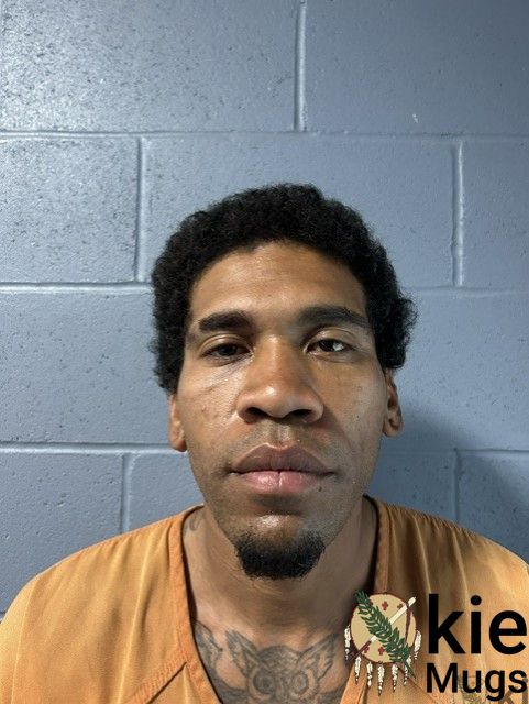 Booking photo of Damiko Richardson