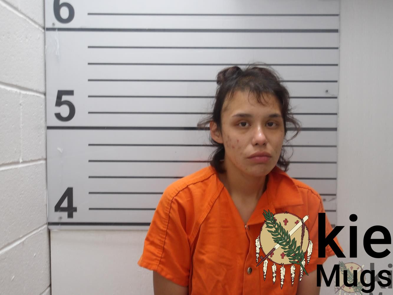 Booking photo of Elise Morgan Anderson