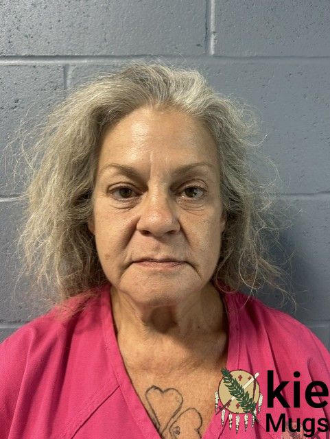 Booking photo of Lisa Swisher