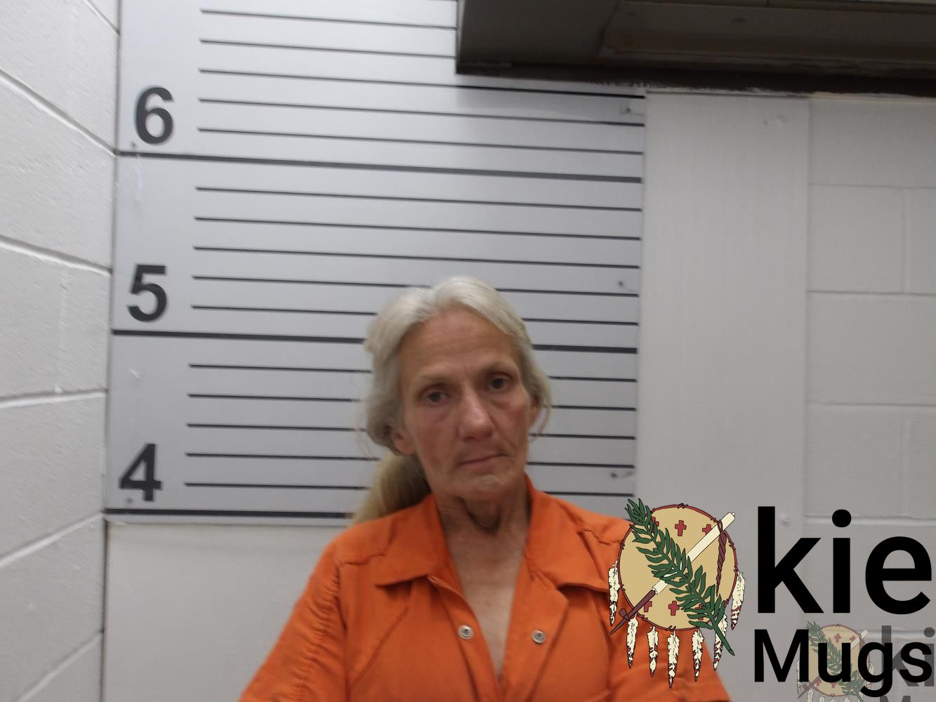 Booking photo of Lana Sue Webb