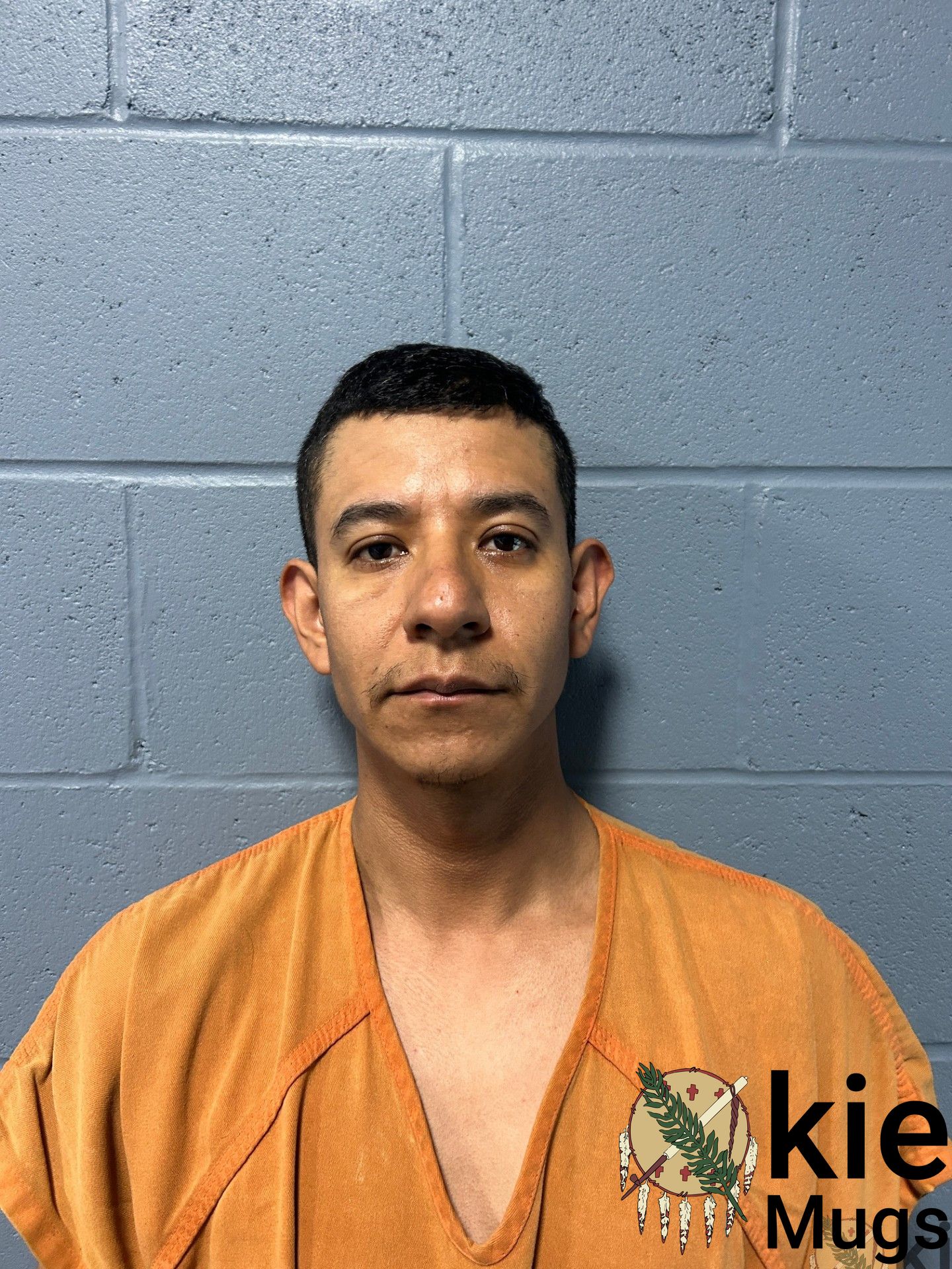 Booking photo of LUIS HERNANDEZ-RINCON