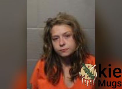 Booking photo of Kayla Jo Perkins