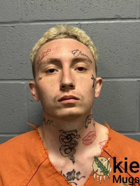 Booking photo of NATHAN COX