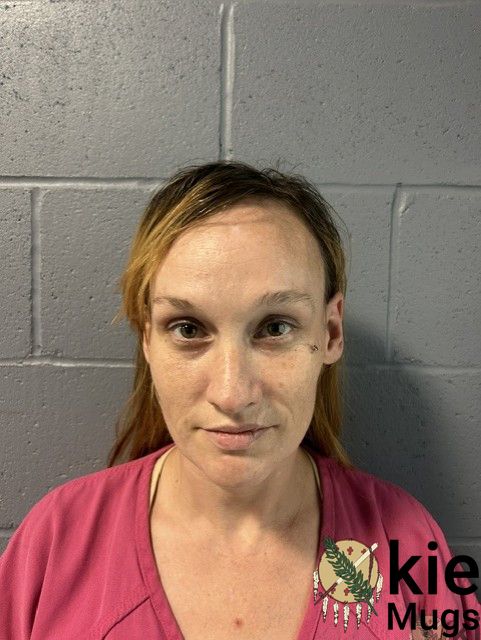Booking photo of Brandi Davisson