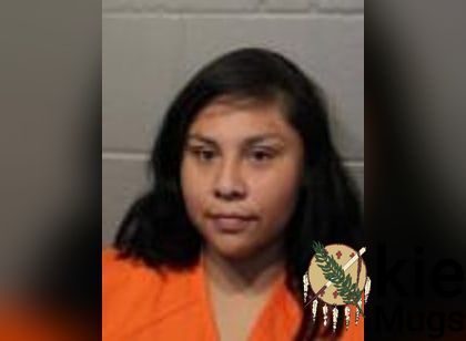 Booking photo of Alexandra Denise Wapskineh
