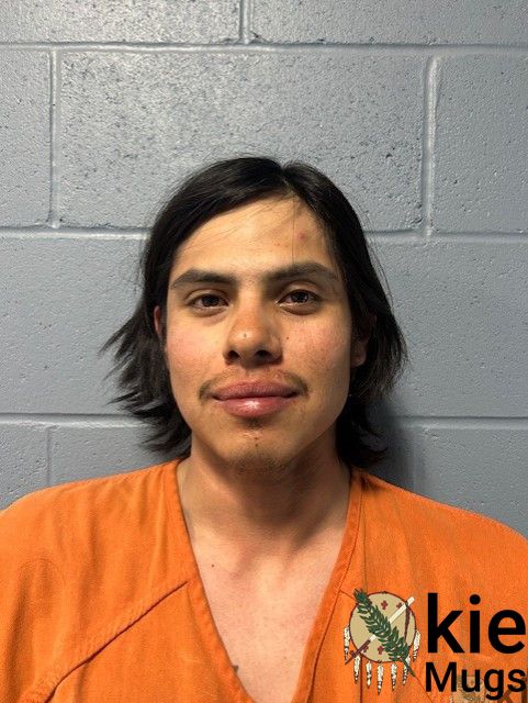 Booking photo of ALARYS JOHNSON