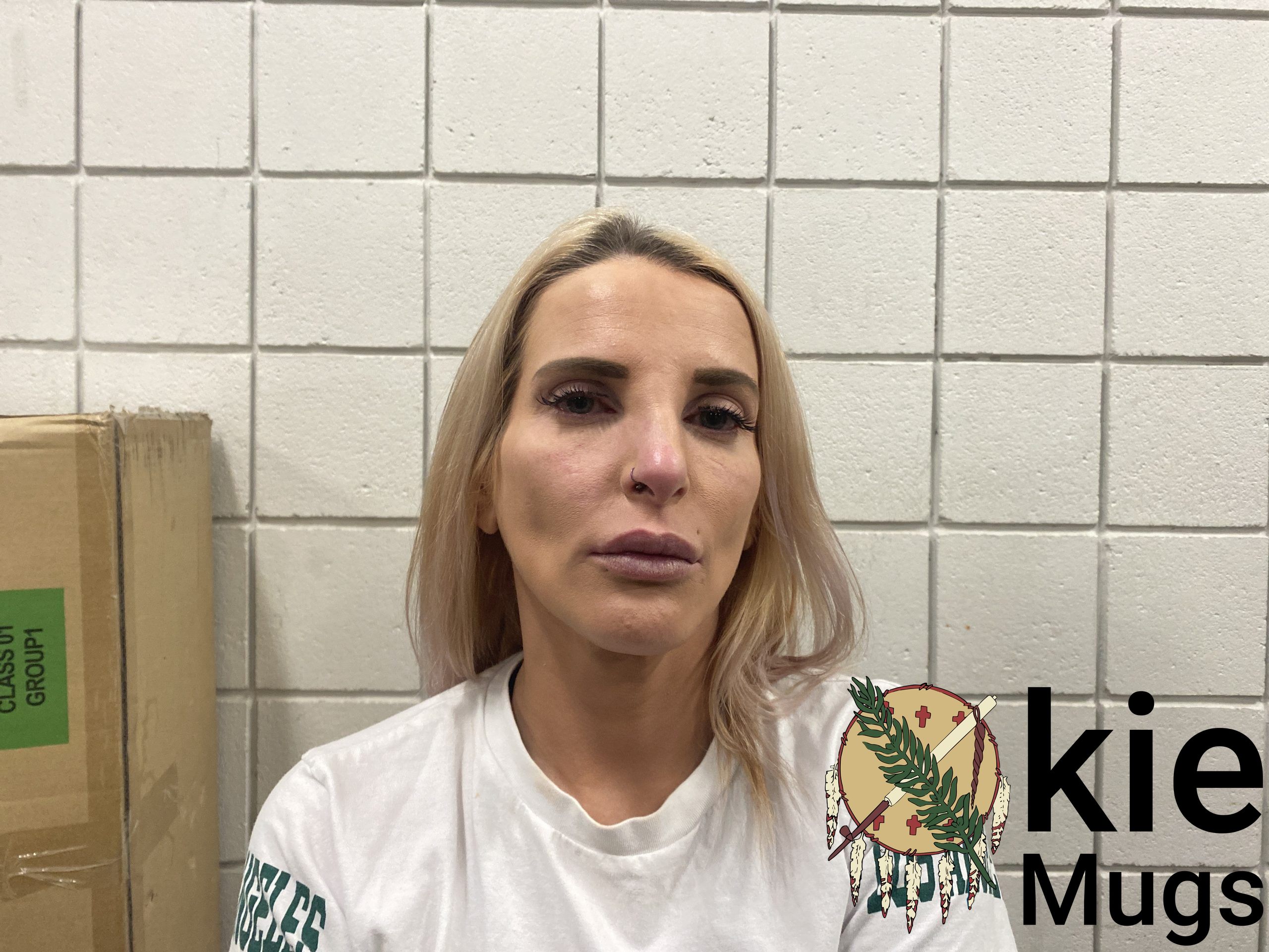 Booking photo of BRITTANY HOLDEN