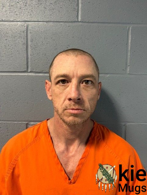 Booking photo of SHANDELL ANNALESE BROWN