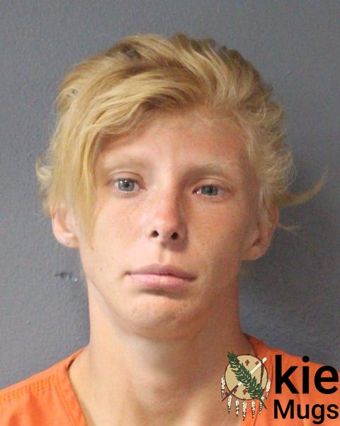 Booking photo of Brianna Dawn - Simson