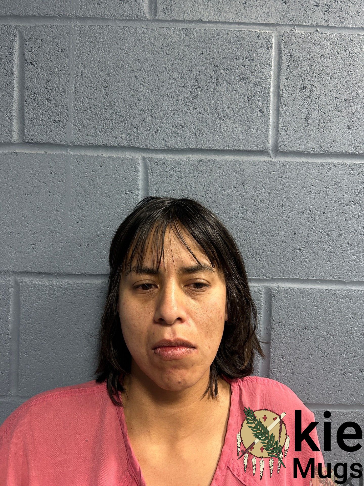Booking photo of Misty Stiger