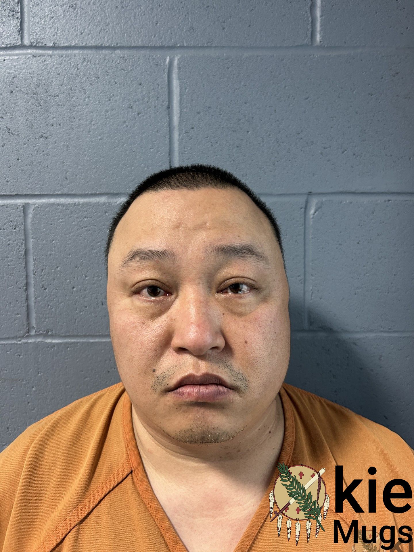 Booking photo of QIU CHEN