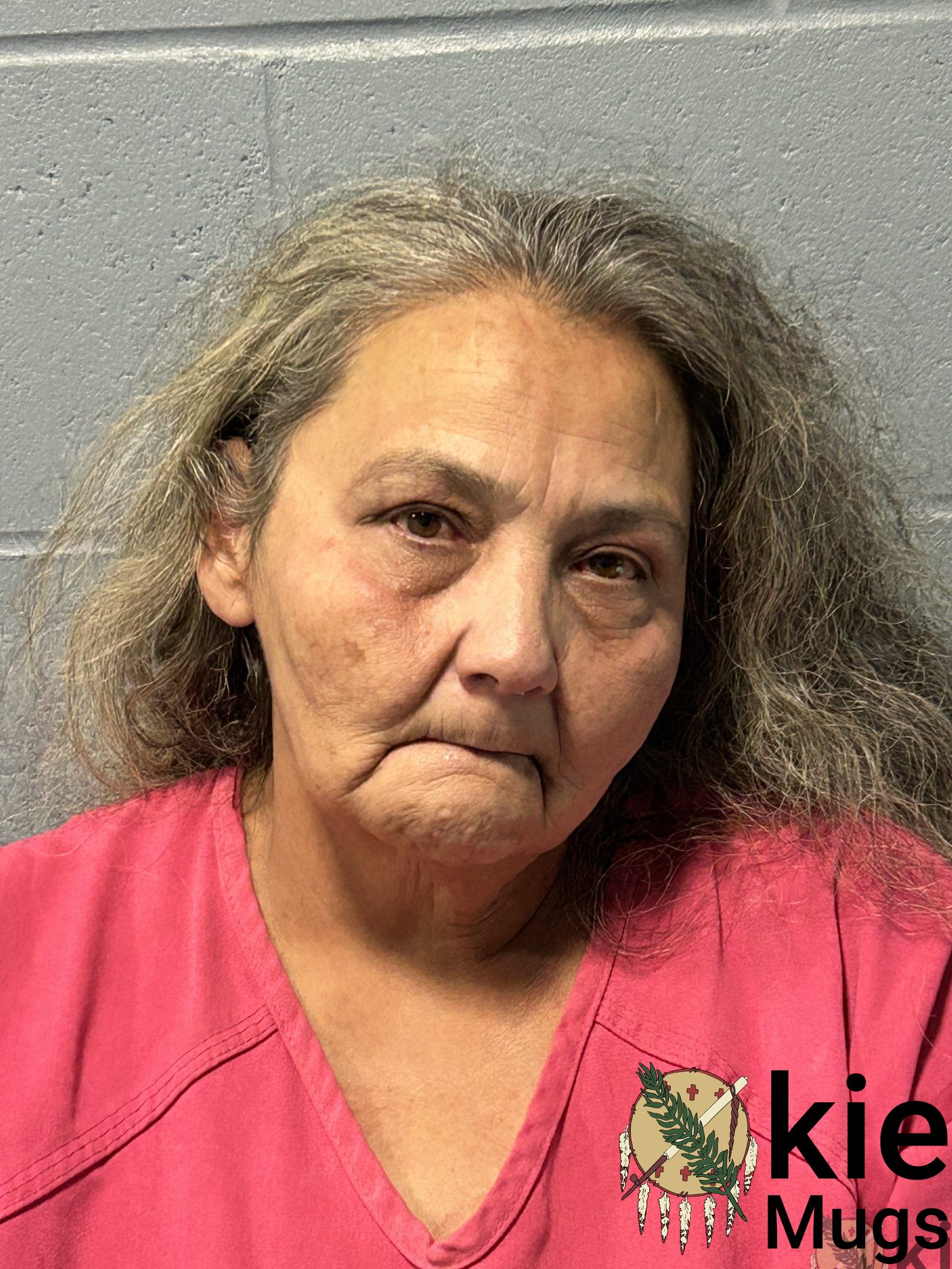 Booking photo of Sue Linville