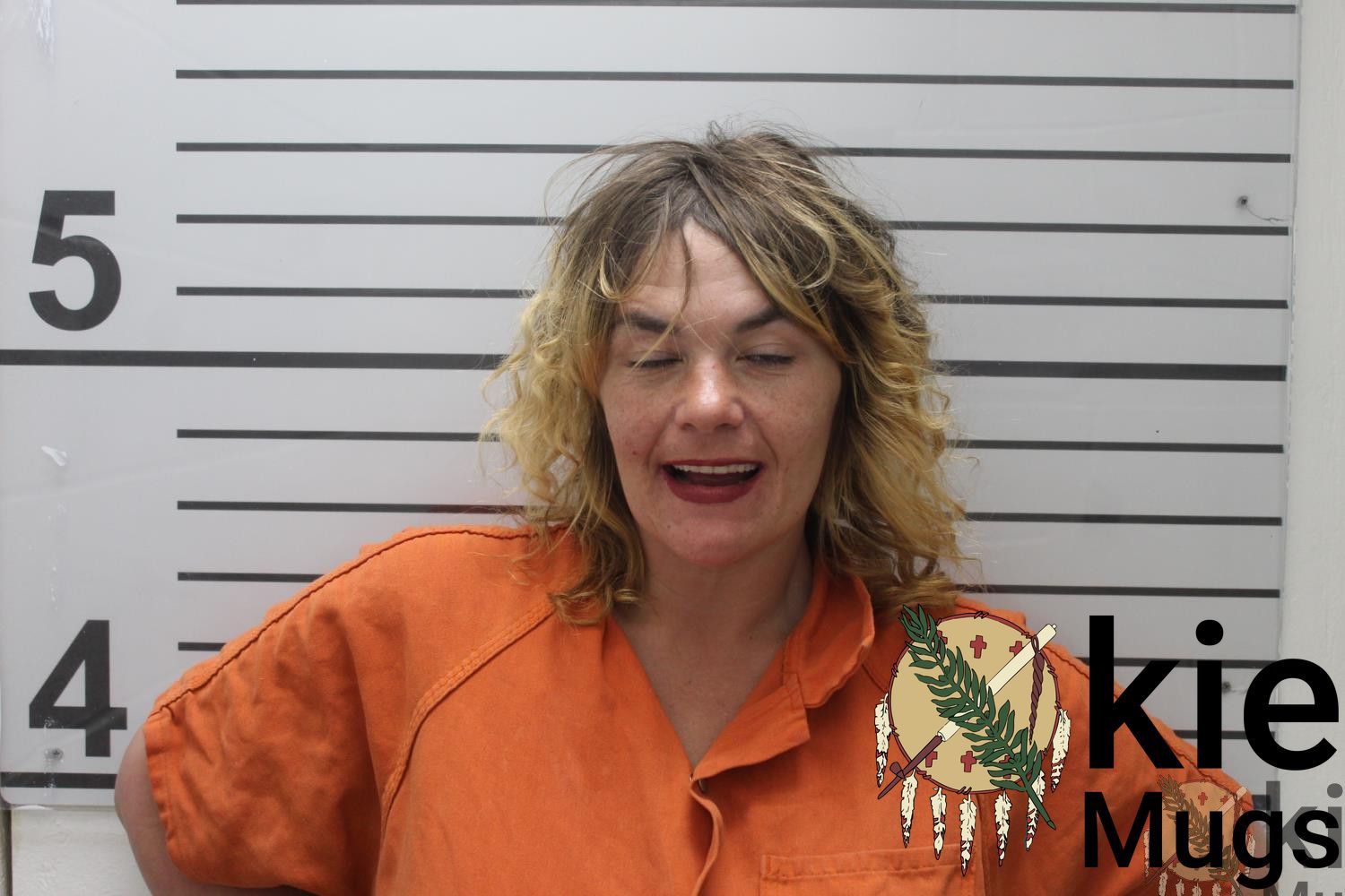 Booking photo of JAMIE LEE ROSS