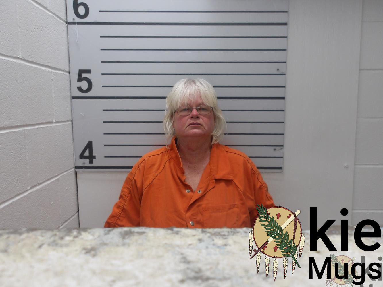 Booking photo of Sheri Meierdierks