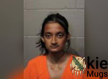Booking photo of Shreya Ramanan
