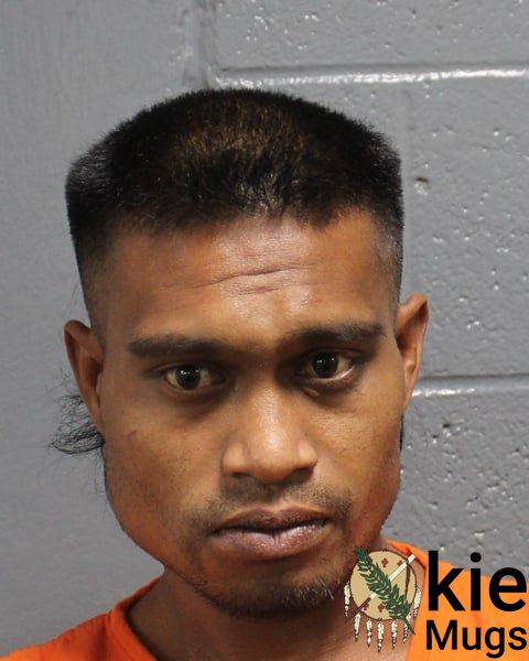 Booking photo of Roger Paulino