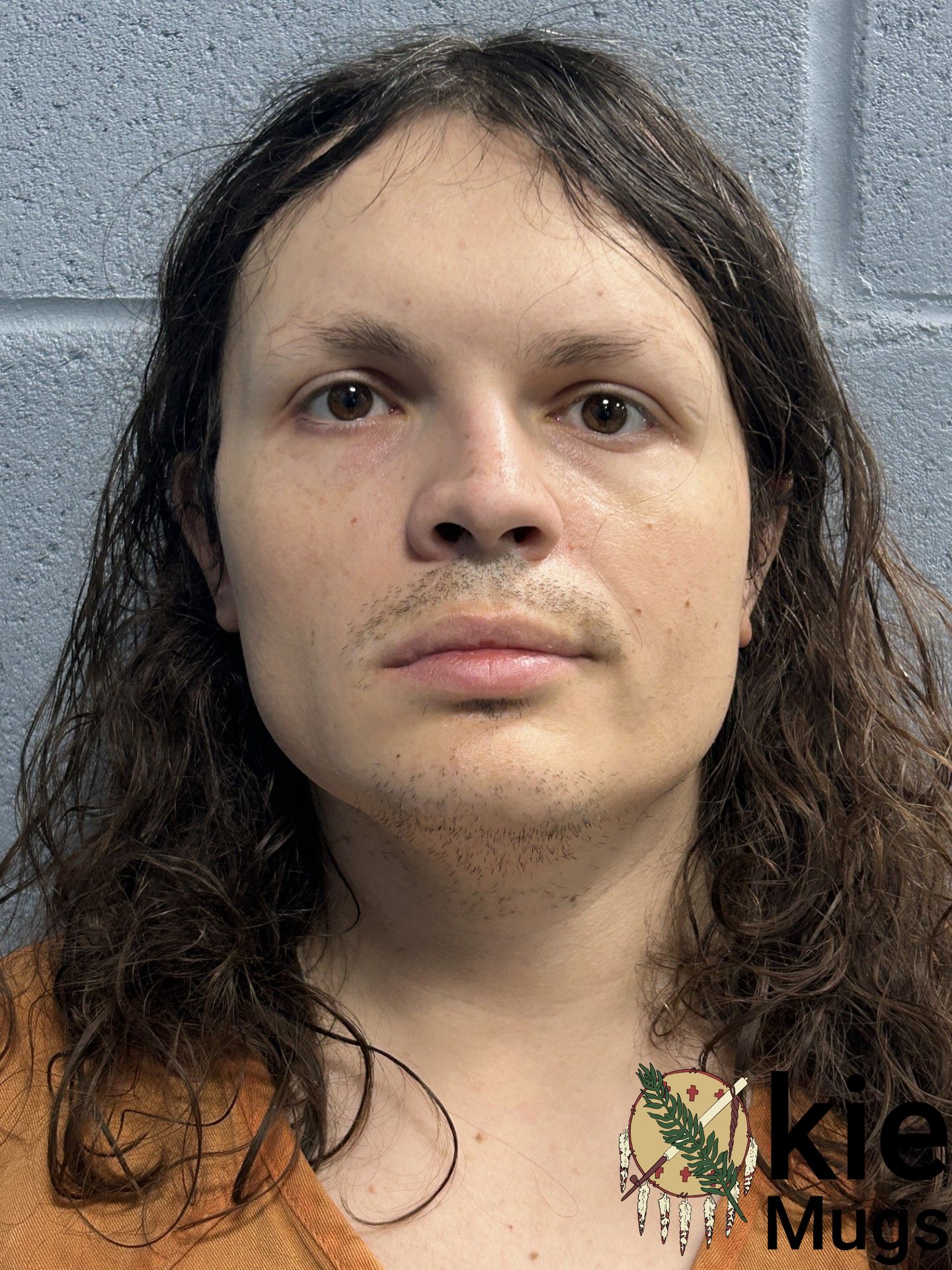 Booking photo of ANTON CHRISTOV