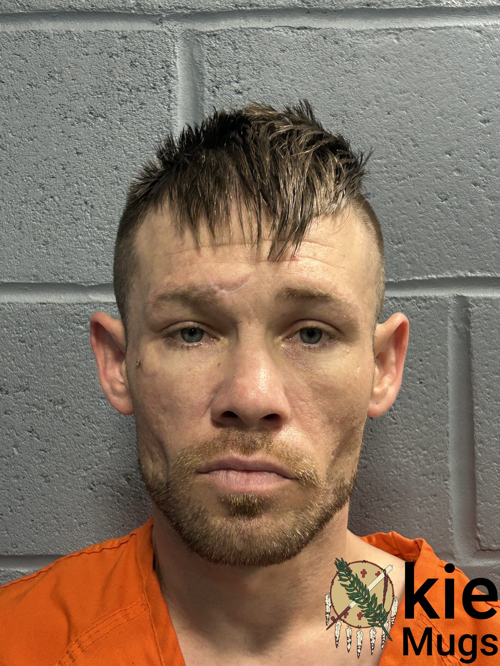 Booking photo of DYLAN SADE