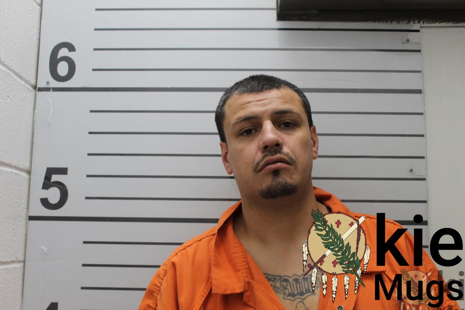 Booking photo of RYAN LEWIS