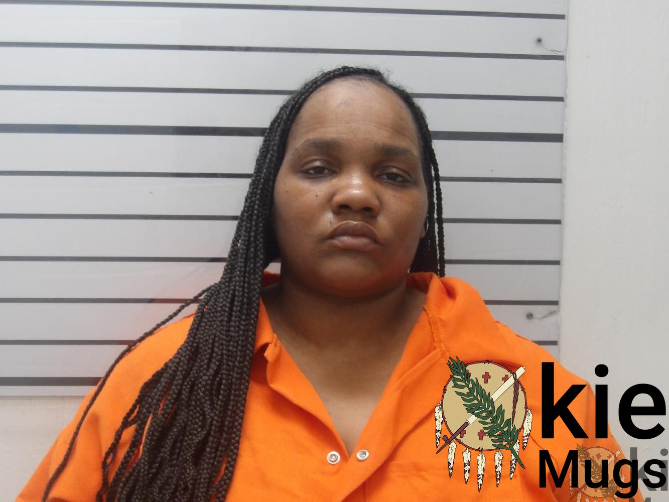 Booking photo of Brittany Shakeira Anderson