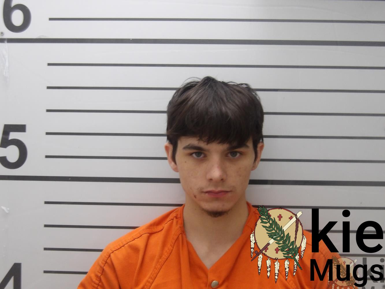 Booking photo of AYDEN KELLY WHINERY