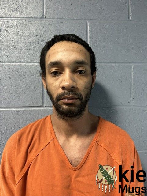 Booking photo of Robert Ritchie