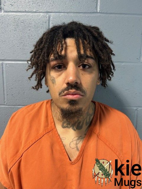 Booking photo of DANIEL PALINSKEE