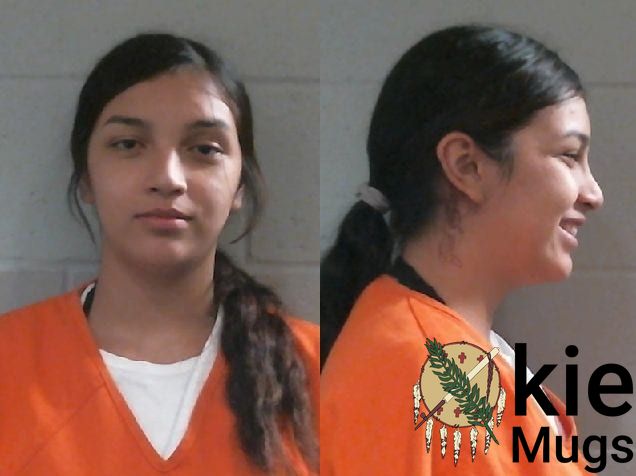 Booking photo of Ladawna Lanane Pinto