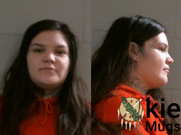 Booking photo of Chelsey Danielle Martin